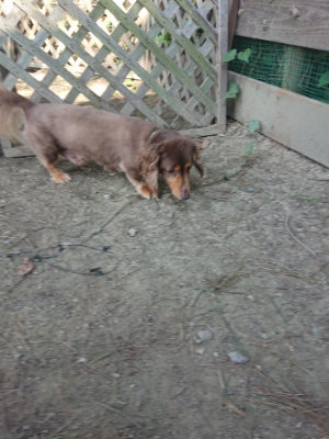 f:id:roukenhome-ann:20190811182437j:plain