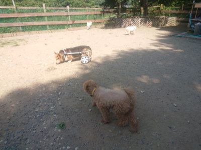 f:id:roukenhome-ann:20190811182630j:plain