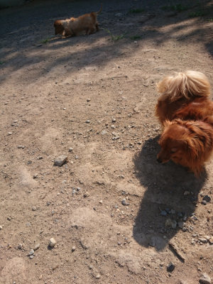 f:id:roukenhome-ann:20190811182641j:plain