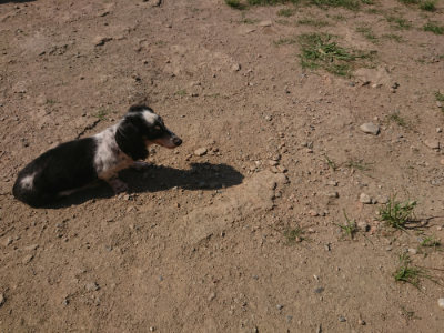 f:id:roukenhome-ann:20190811182647j:plain
