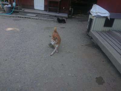 f:id:roukenhome-ann:20190811182706j:plain