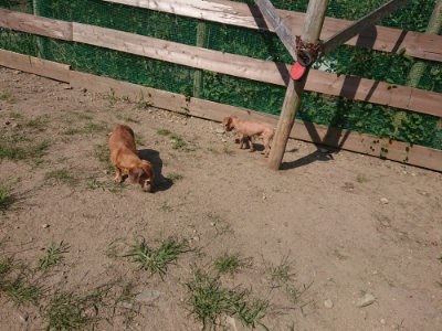 f:id:roukenhome-ann:20190811182754j:plain