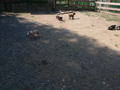 f:id:roukenhome-ann:20190811183027j:plain
