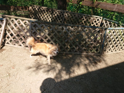 f:id:roukenhome-ann:20190811183043j:plain