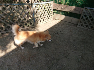 f:id:roukenhome-ann:20190811183106j:plain