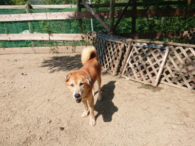 f:id:roukenhome-ann:20190811183128j:plain