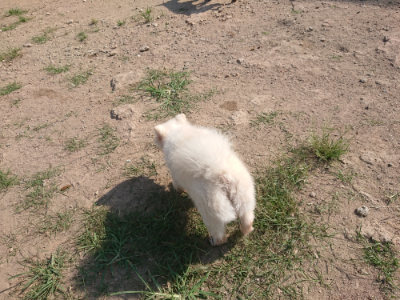 f:id:roukenhome-ann:20190811183133j:plain