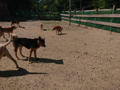 f:id:roukenhome-ann:20190811183151j:plain