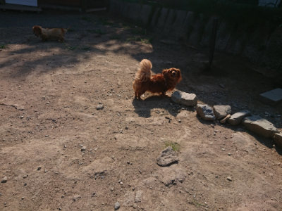 f:id:roukenhome-ann:20190811183156j:plain