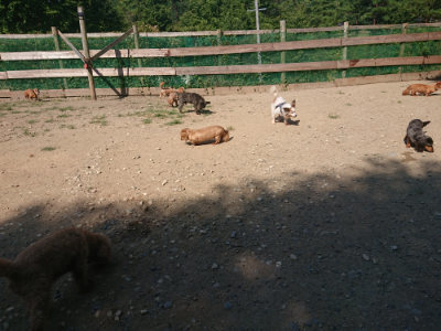 f:id:roukenhome-ann:20190811183202j:plain