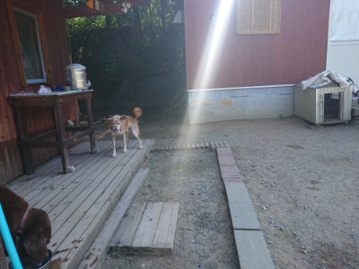 f:id:roukenhome-ann:20190811183208j:plain