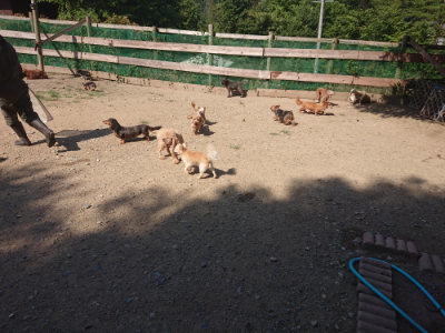 f:id:roukenhome-ann:20190811183223j:plain