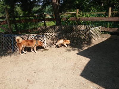 f:id:roukenhome-ann:20190811183228j:plain