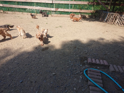 f:id:roukenhome-ann:20190811183241j:plain