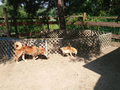 f:id:roukenhome-ann:20190811183247j:plain