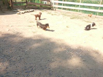 f:id:roukenhome-ann:20190811183255j:plain