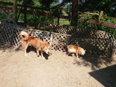 f:id:roukenhome-ann:20190811183310j:plain