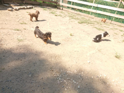 f:id:roukenhome-ann:20190811183315j:plain