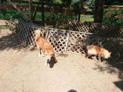 f:id:roukenhome-ann:20190811183329j:plain