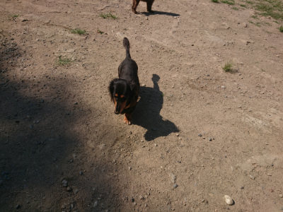 f:id:roukenhome-ann:20190811183335j:plain