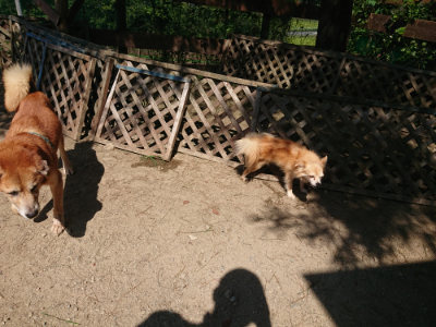 f:id:roukenhome-ann:20190811183347j:plain