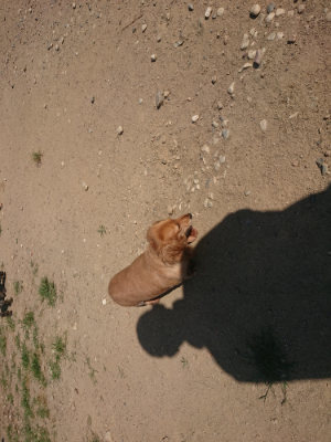 f:id:roukenhome-ann:20190811183401j:plain
