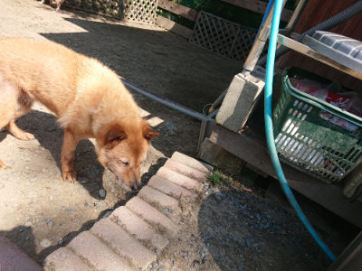 f:id:roukenhome-ann:20190811183429j:plain