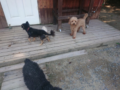 f:id:roukenhome-ann:20190811183434j:plain