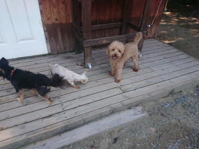 f:id:roukenhome-ann:20190811183440j:plain
