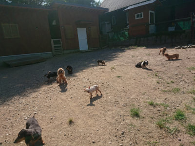 f:id:roukenhome-ann:20190811184516j:plain