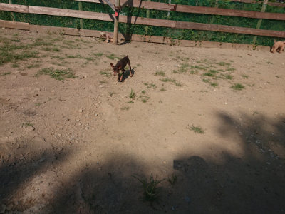 f:id:roukenhome-ann:20190811184528j:plain