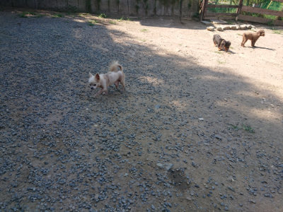 f:id:roukenhome-ann:20190811184534j:plain