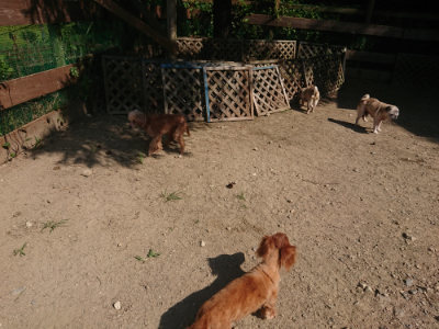 f:id:roukenhome-ann:20190811184538j:plain