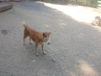 f:id:roukenhome-ann:20190811184545j:plain