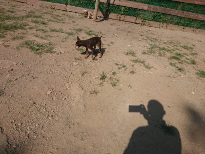 f:id:roukenhome-ann:20190811184602j:plain