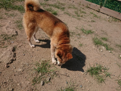f:id:roukenhome-ann:20190811184608j:plain