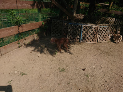 f:id:roukenhome-ann:20190811184628j:plain