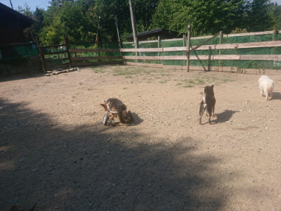 f:id:roukenhome-ann:20190811184637j:plain