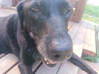 f:id:roukenhome-ann:20190811184643j:plain