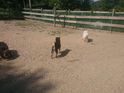 f:id:roukenhome-ann:20190811184648j:plain