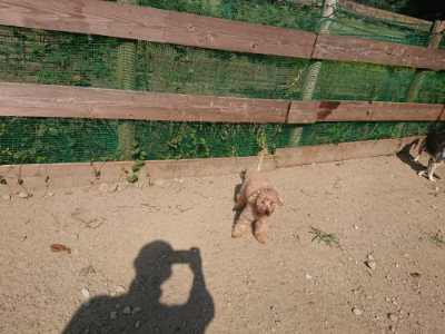 f:id:roukenhome-ann:20190811184704j:plain