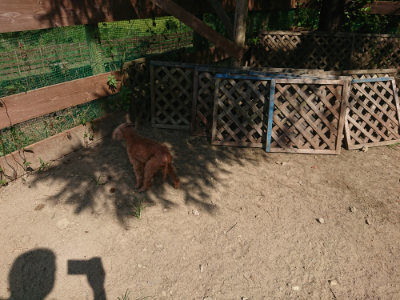 f:id:roukenhome-ann:20190811184710j:plain
