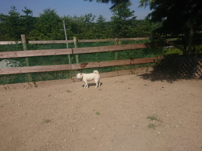 f:id:roukenhome-ann:20190811184720j:plain