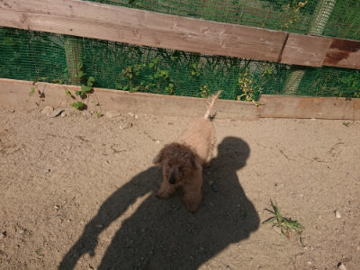 f:id:roukenhome-ann:20190811184733j:plain