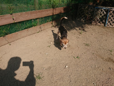 f:id:roukenhome-ann:20190811184803j:plain