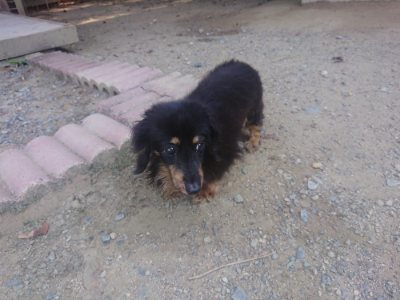 f:id:roukenhome-ann:20190811184828j:plain