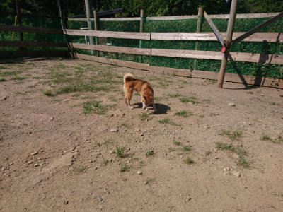 f:id:roukenhome-ann:20190811184834j:plain