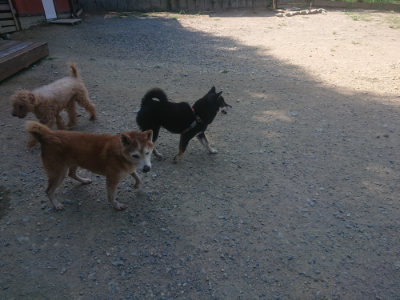 f:id:roukenhome-ann:20190811184854j:plain