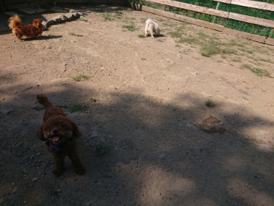 f:id:roukenhome-ann:20190811184911j:plain