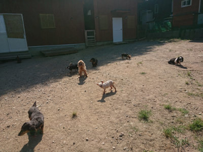 f:id:roukenhome-ann:20190811184932j:plain